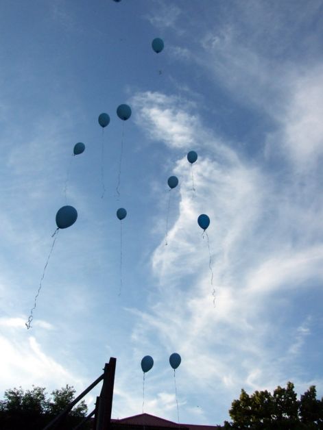 e71.jpg