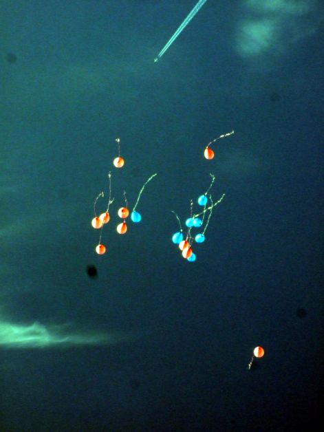 e76.jpg
